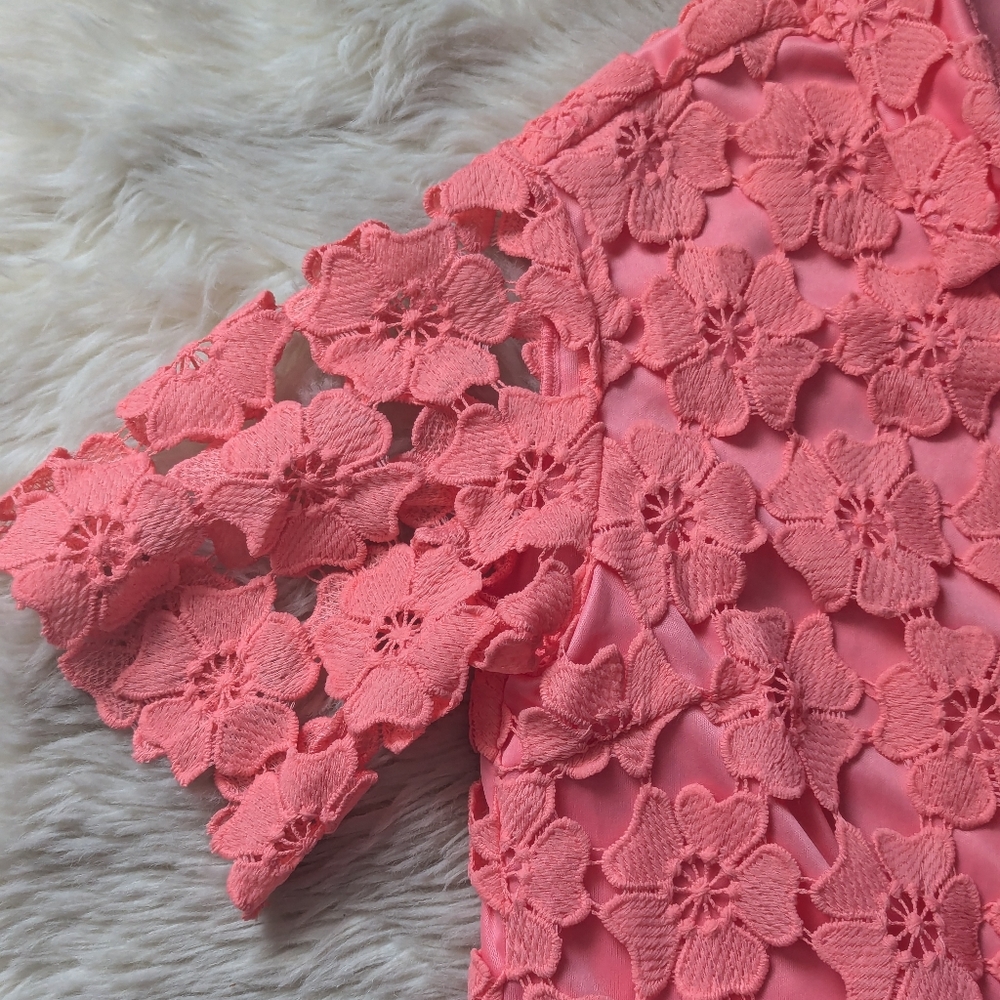 EUC Petal & Pup Tallie Mini Dress in Watermelon - Picture 6 of 16